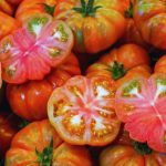 The Tomato Trend Explained