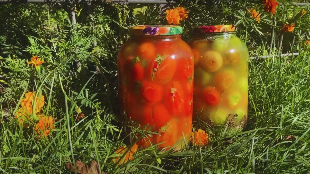 квашені помідори